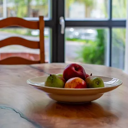 Apartment Atelier 29: Am Fusse Des Valtenberges